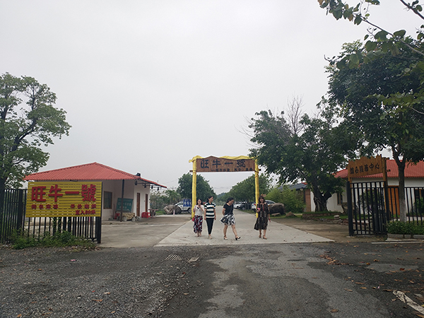 瑞泰風(fēng)工業(yè)大型風(fēng)扇廠家五四游 瑞泰風(fēng)工業(yè)大型風(fēng)扇廠家五四游