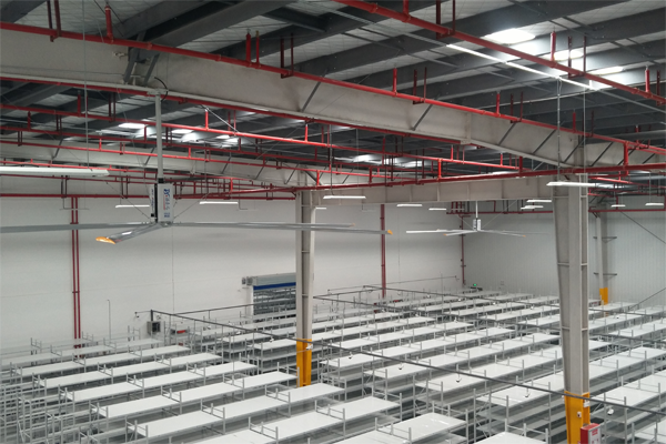 瑞泰風(fēng)工業(yè)大風(fēng)扇廠家案例圖 瑞泰風(fēng)工業(yè)大風(fēng)扇廠家案例圖